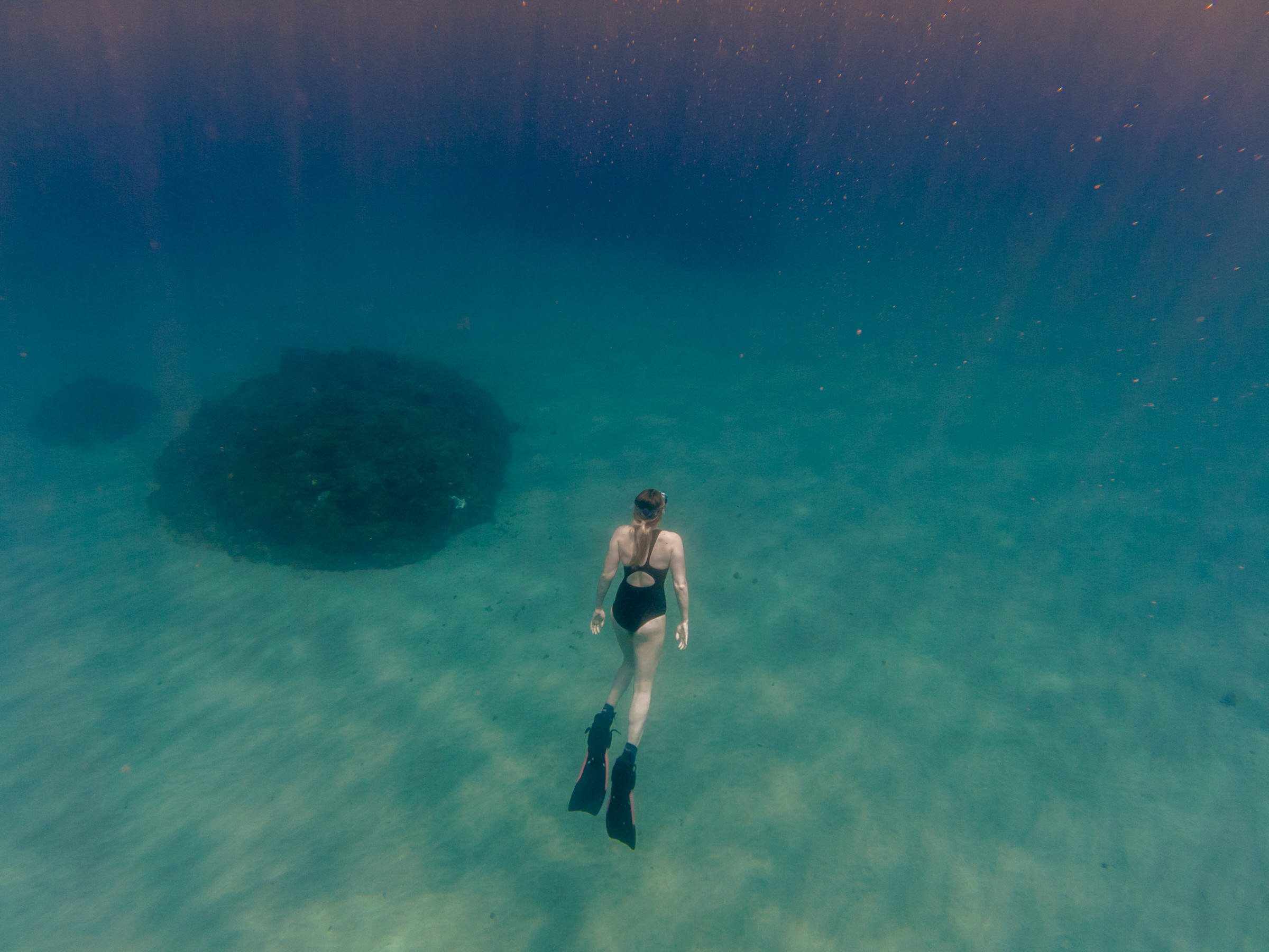 woman free diving in tropical waters